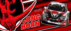 long-horn2-300x132